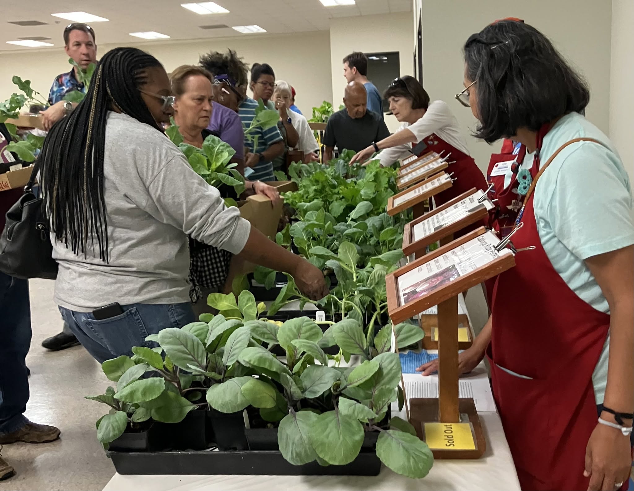 Fort Bend County Gardeners Can Shop Fall Vegetables and Herbs at Master Gardener Sale This Weekend