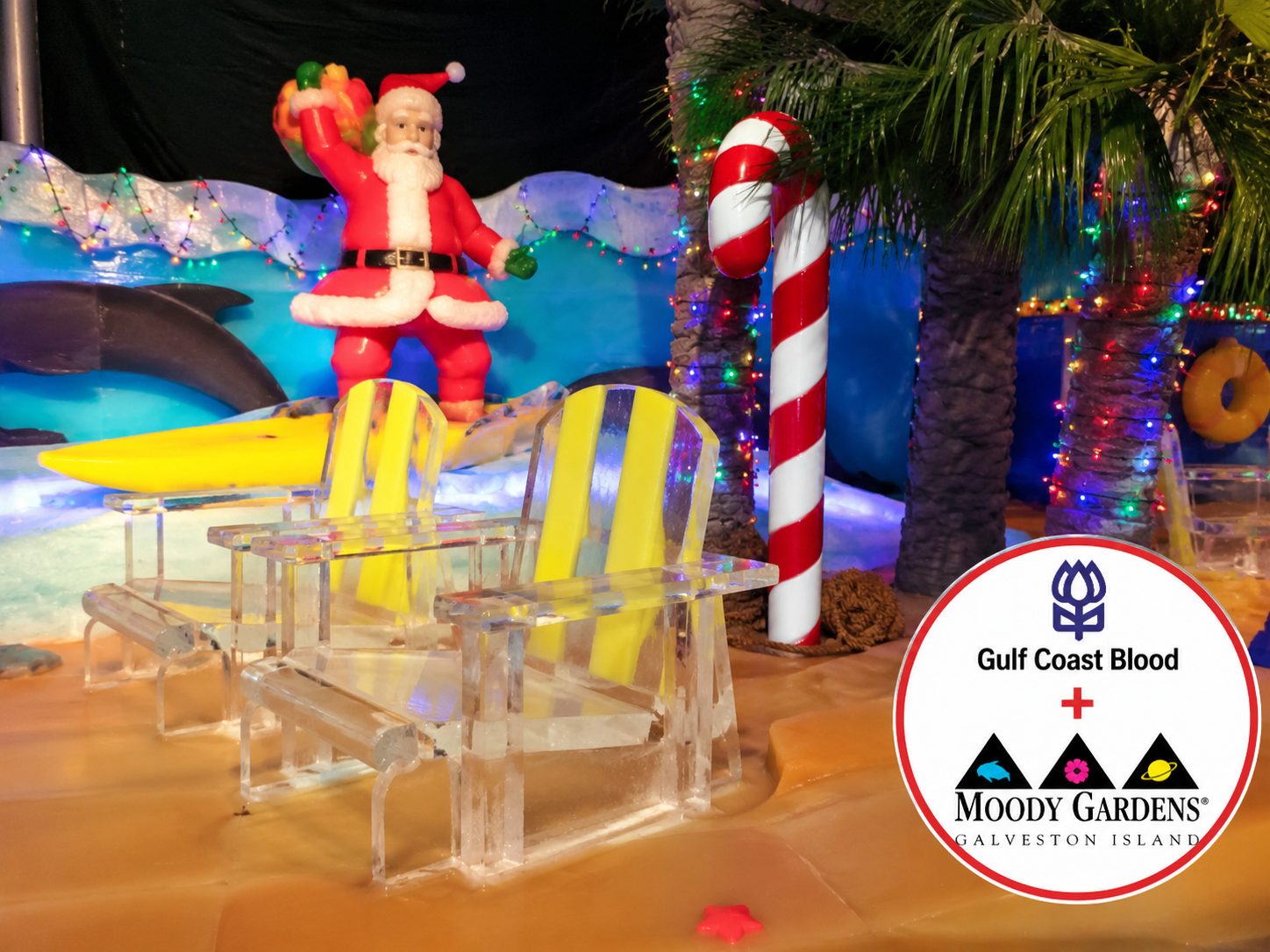 Gulf Coast Blood and Moody Gardens Offer Free Holiday Evening Passes to Blood Donors Beginning November 1