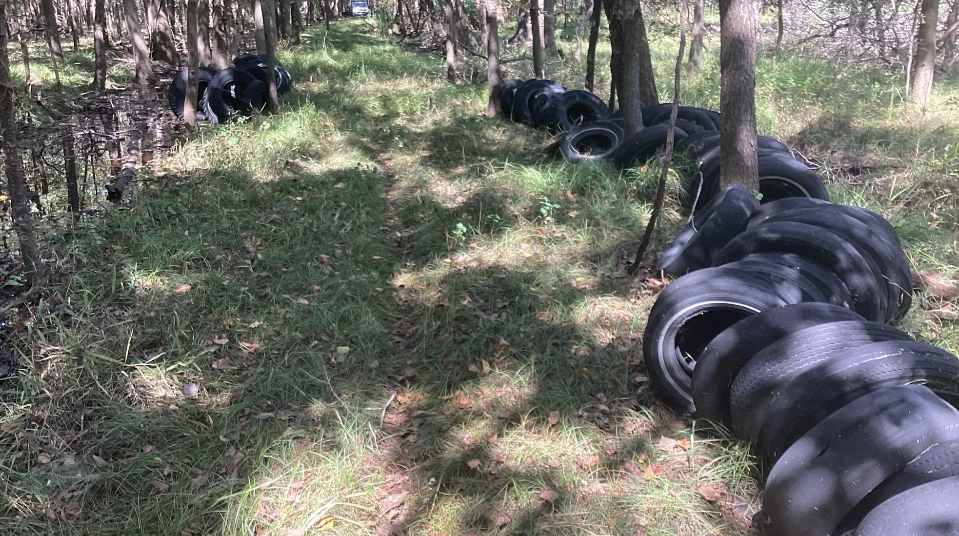More Than 400 Illegally Dumped Tires Removed from Addicks Reservoir in West Houston Cleanup Effort