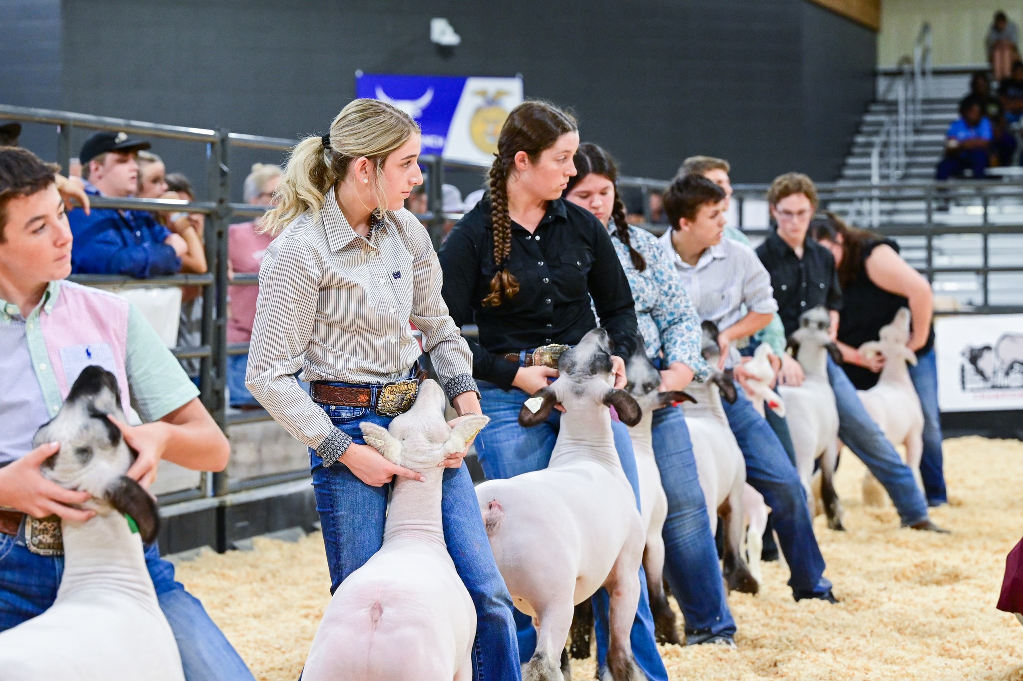 Harris County Fair & Rodeo Returns October 23 with Big Fun, Youth Competitions, and Family Events in Katy