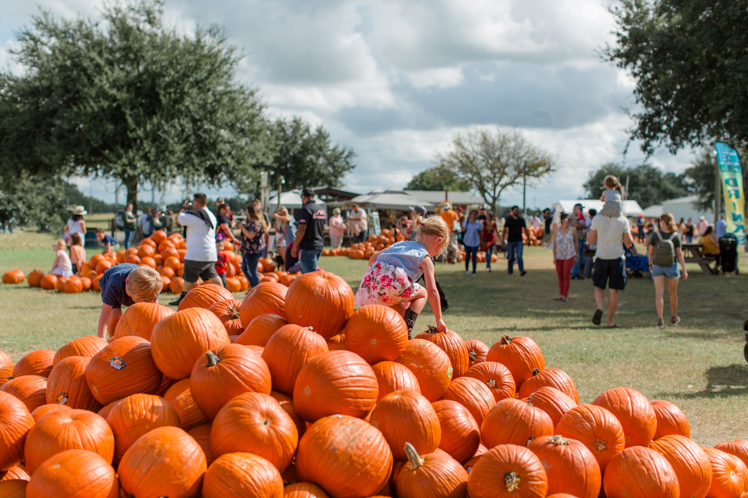 Pumpkin Patch Season Returns to Cypress: Where to Celebrate Fall with Pumpkins, Hayrides, and Family Fun in 2025
