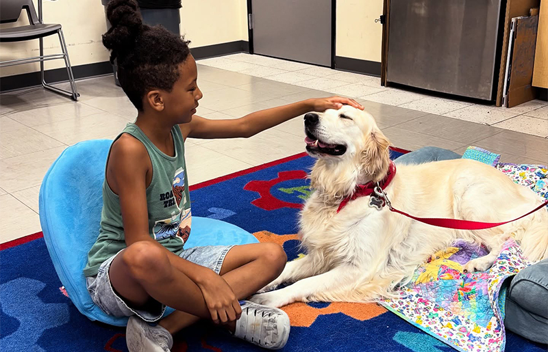 Barbara Bush Library Brings a Full Lineup of Events This November for Champions Park Residents