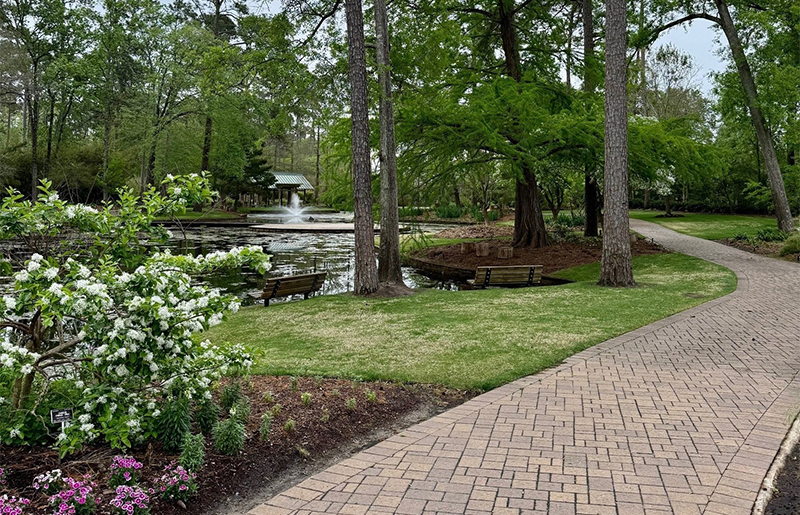 Mercer Arboretum & Botanic Gardens: Humble’s Hidden Gem for Nature, Learning, and Community