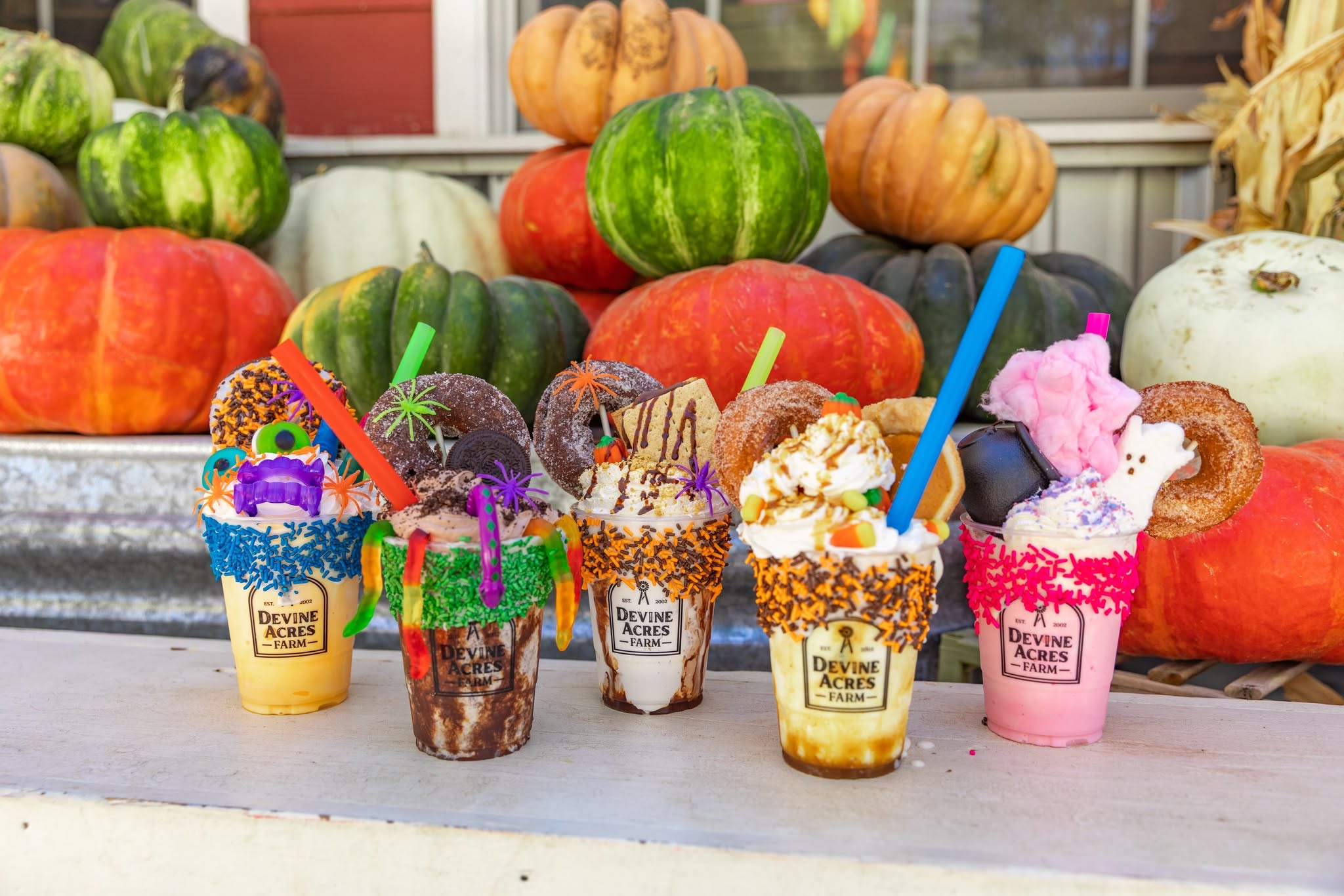 San Antonio Pumpkin Patches 2026: Where Families Can Find Fall Fun Across the Region