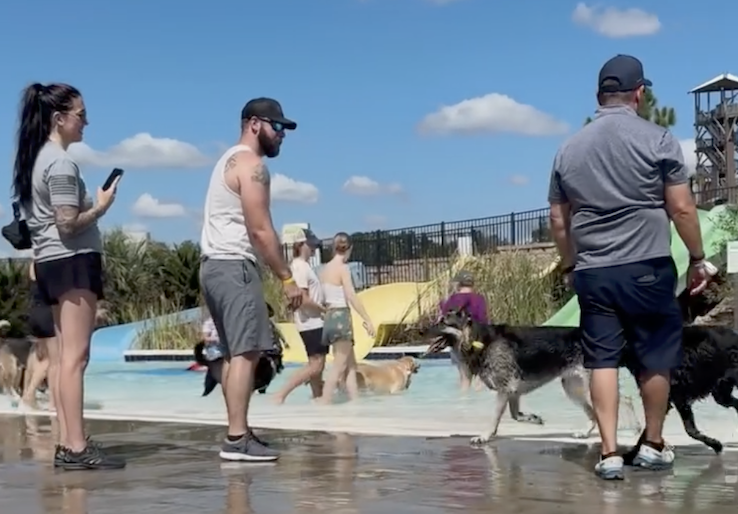 Big Rivers WaterBARK Day Lets Dogs Take Over the Waterpark for a Splash-Filled Sunday