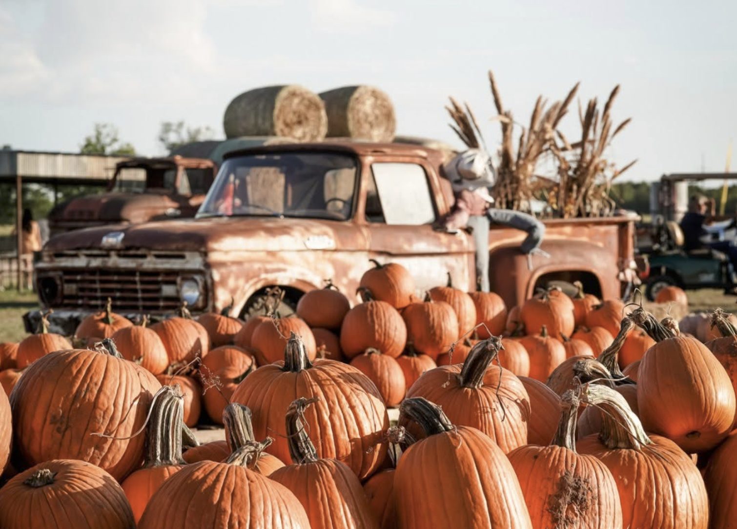Austin-Area Pumpkin Patches Are Opening for Fall 2026: Where Families Can Find Pumpkins, Mazes and Fall Fun