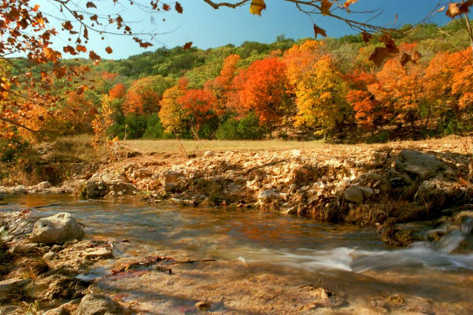 Best Texas Hill Country State Parks for Fall Foliage, Plus Fall and Halloween Events to Plan for in 2026