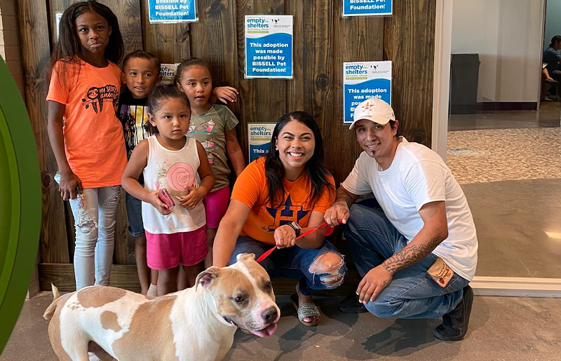 Give Love, Get Love: Harris County Pets Offers Reduced Adoption Fees Oct. 1–15 During National 'Empty the Shelters' Event