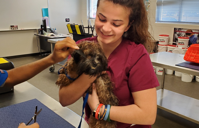 Pamper Your Pup and Support Local Students at The Dog Wash by Miller Career & Technology Center