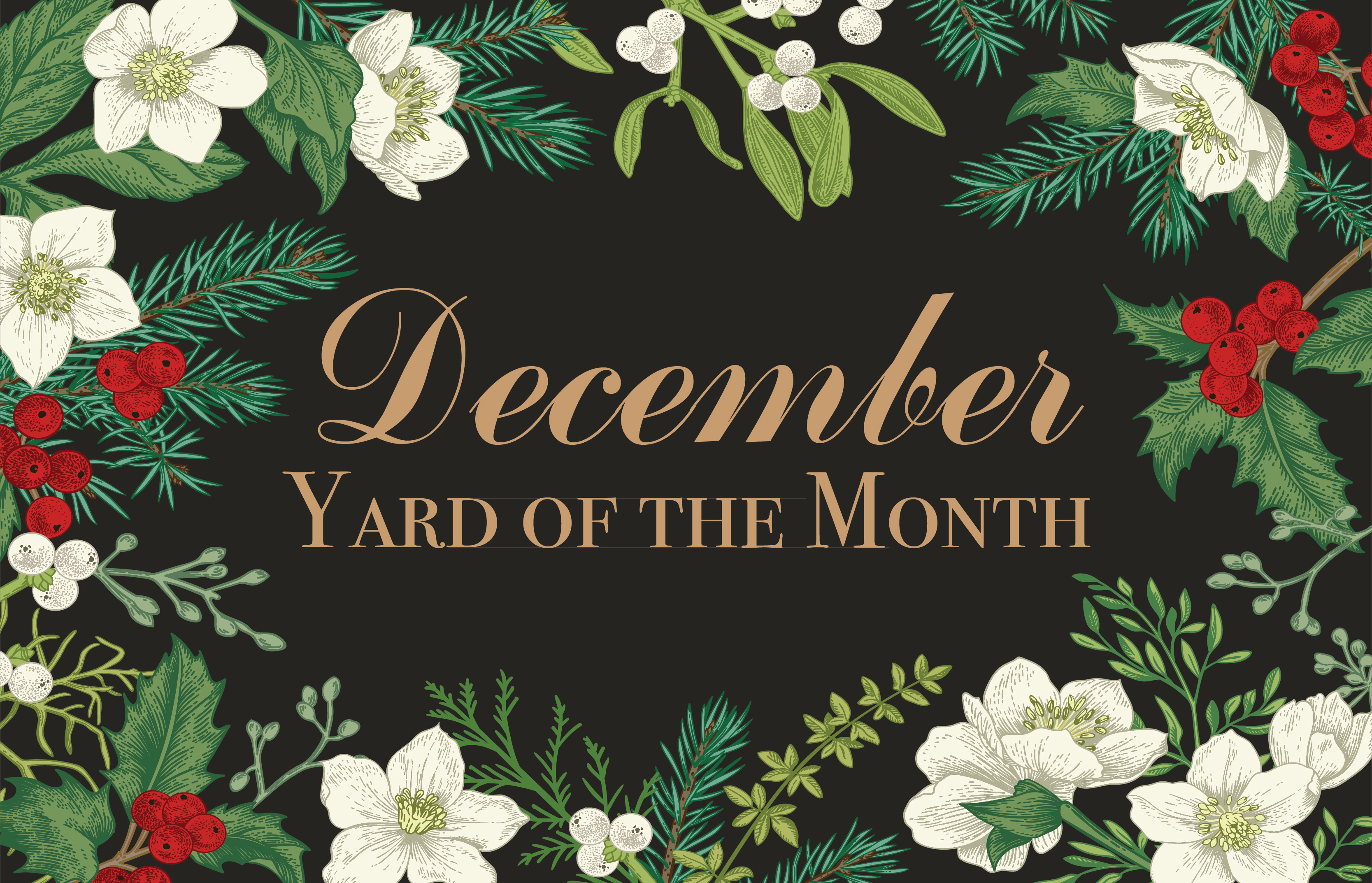 Sydney Harbour December Yard of the Month