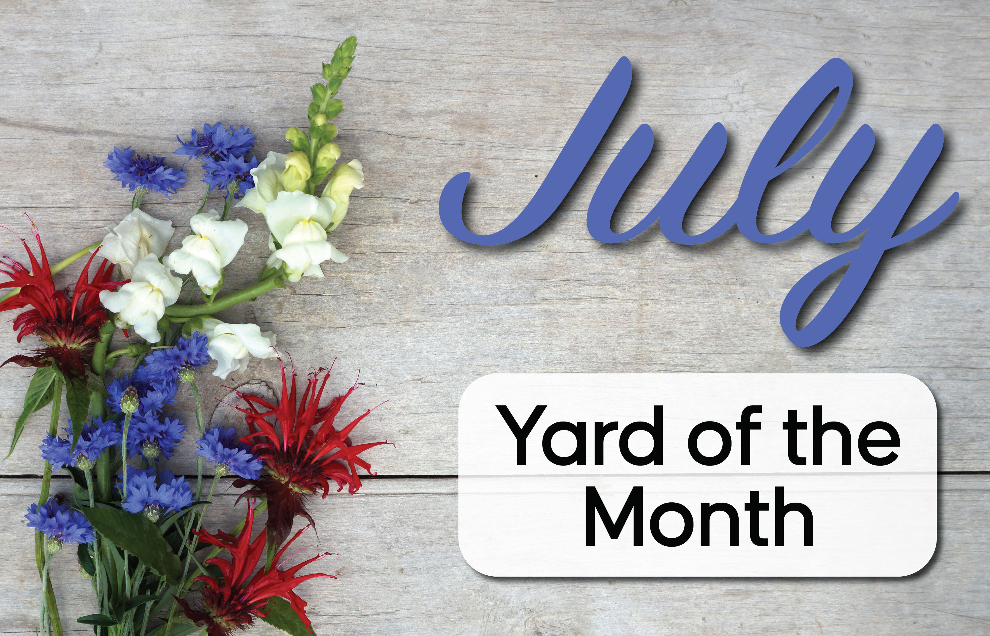 Williamsburg Settlement Announces July YOTM Winner