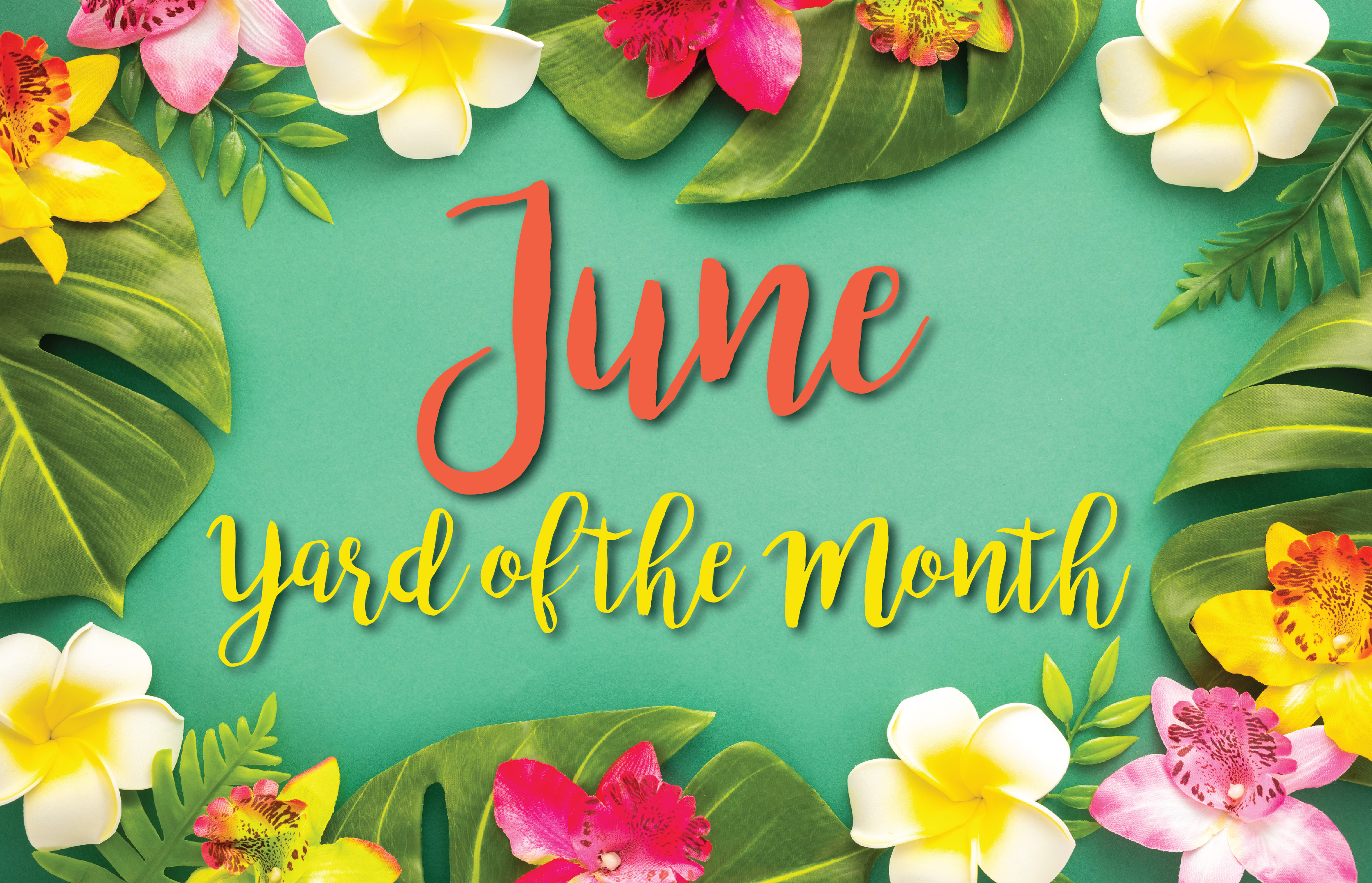 Harvest Bend Honors June 2025 Yard of the Month Winner