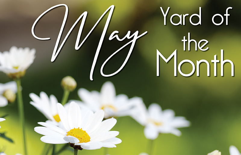 May 2025 Yard of the Month Winner Brings Spring Beauty to Harvest Bend