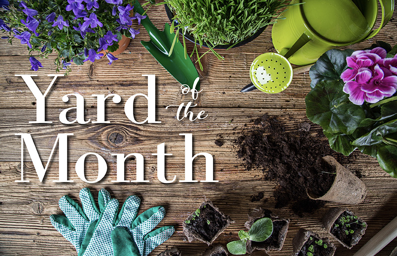 Westheimer Lakes Yard of the Month Celebrates Curb Appeal and Community Pride