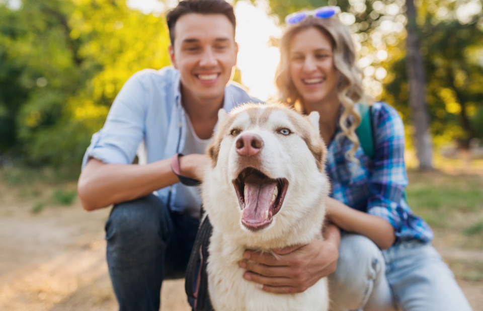 Community Dog Park