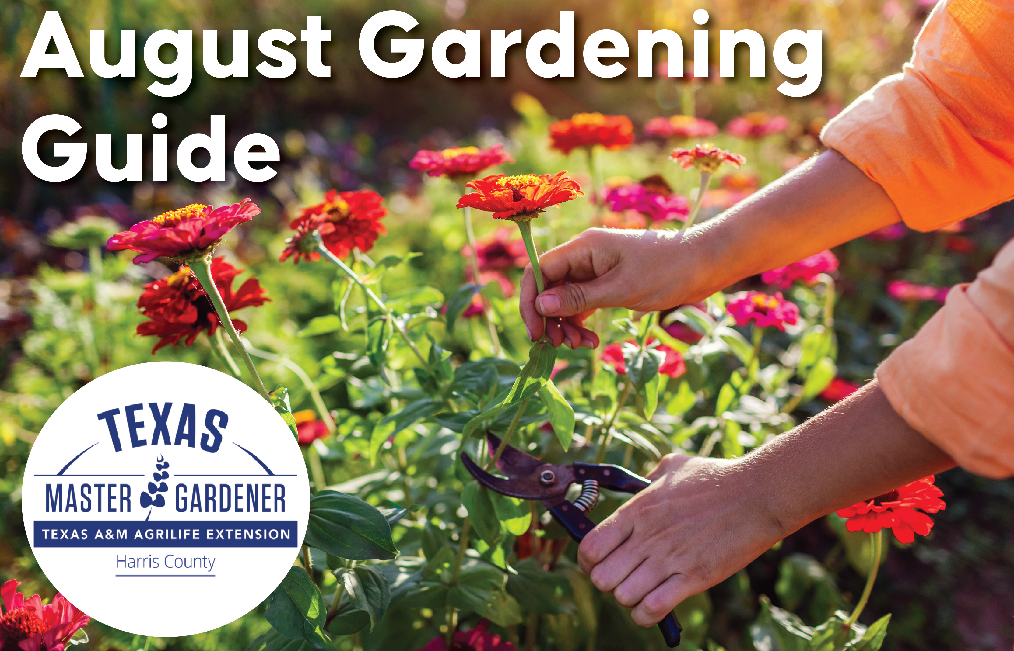 August Gardening Made Easier for Inwood Park Residents with Free Local Help from Harris County Master Gardeners