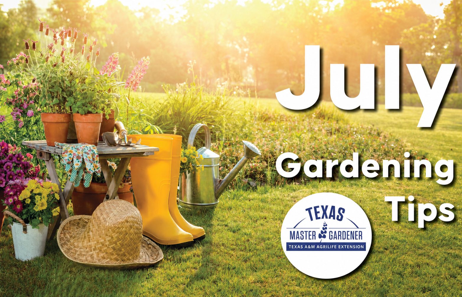 July Gardening Checklist for Rosewood Atascosa Estates: What Central Texas Homeowners Should Do Now to Help Yards Survive the Heat