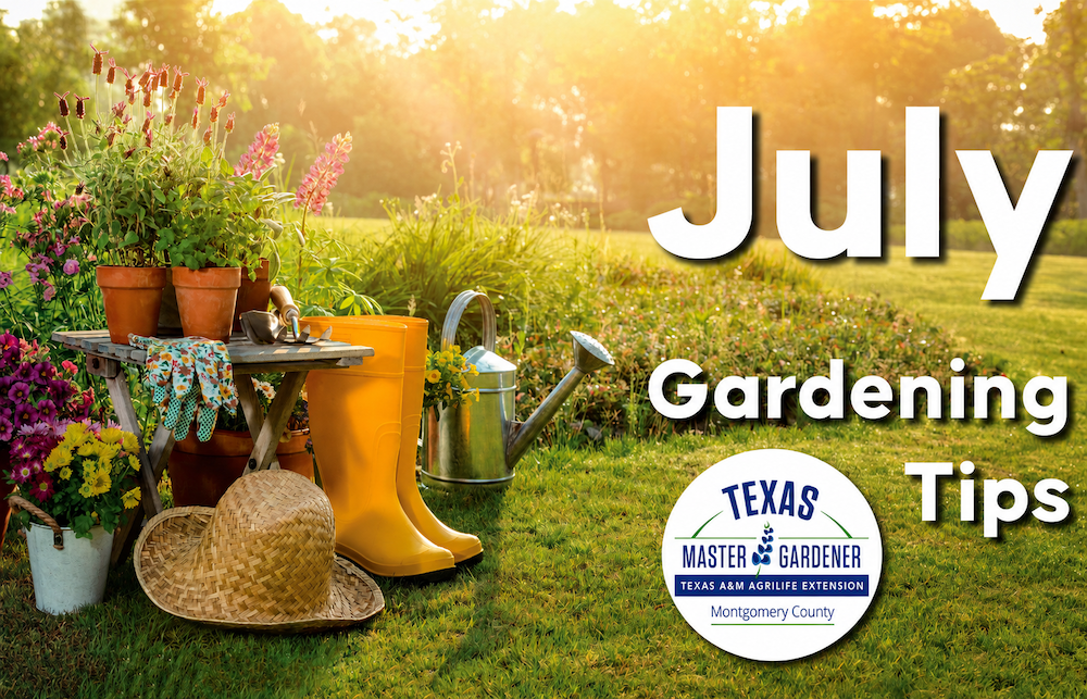 July Gardening Tips for Magnolia Springs: Montgomery County Master Gardeners Share What to Plant, Water and Avoid This Month