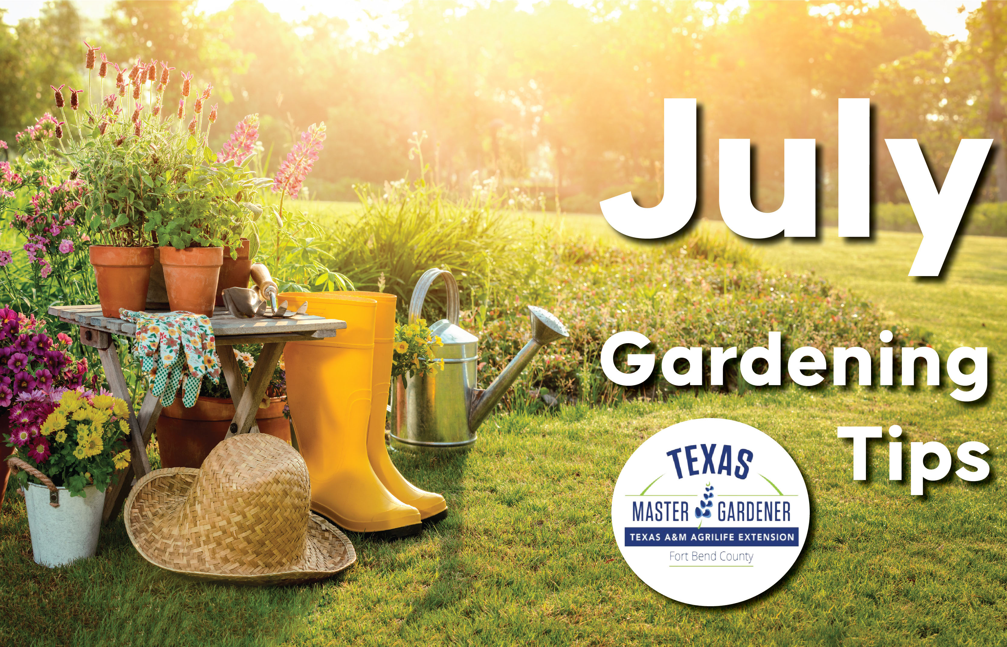 July Gardening Tips from Fort Bend County Master Gardeners: How to Help Your Garden Thrive in the Summer Heat