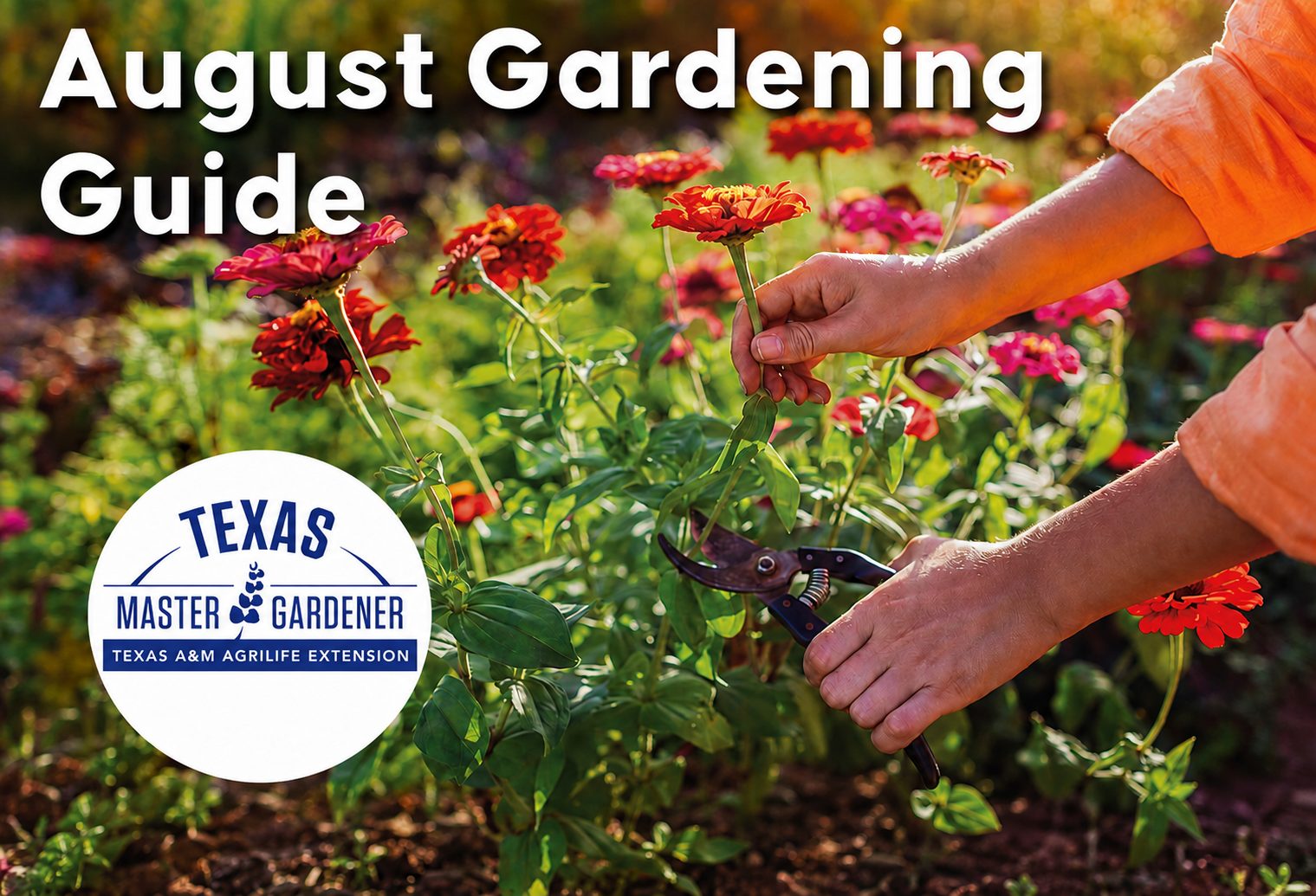 August Gardening Guide for Homestead Estates: What Homeowners Should Do Now for Their Landscape